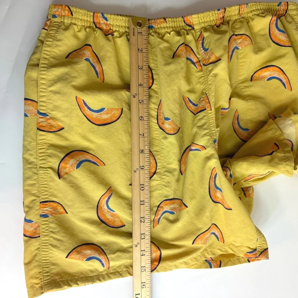 Patagonia baggies shorts